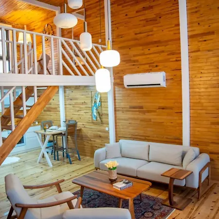 Olivie Suit Apartment Fethiye